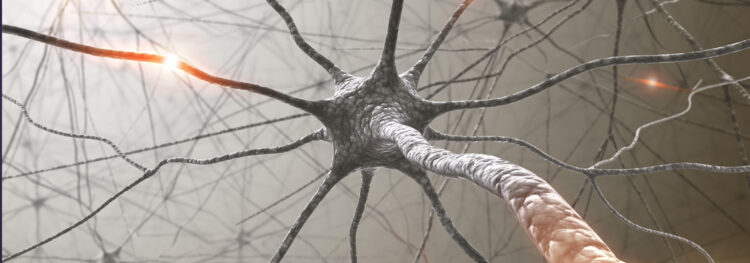 Neuron