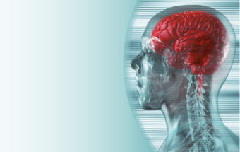 grafika przedstawiająca głowę z widocznym mózgiem