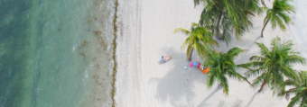 plaża z palmami